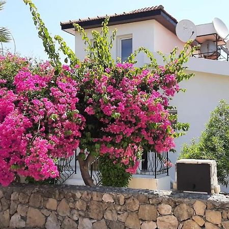 Villa Bougainvillea With Privite Pool Karşıyaka  Dış mekan fotoğraf