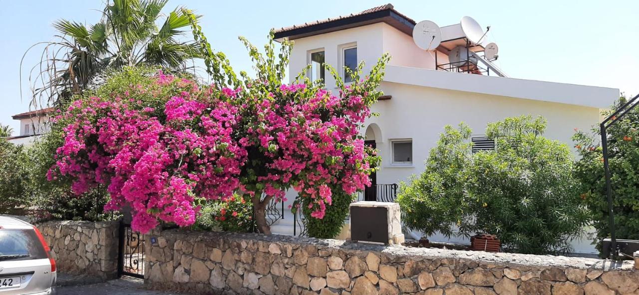 Villa Bougainvillea With Privite Pool Karşıyaka  Dış mekan fotoğraf