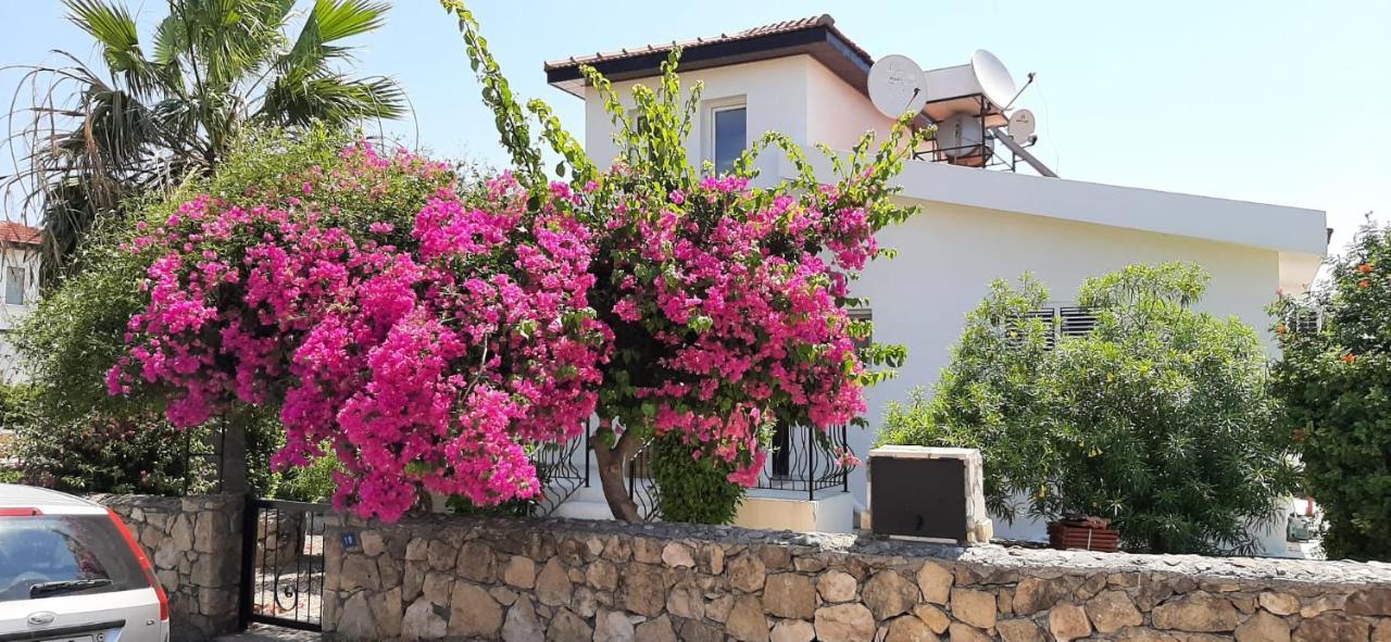 Villa Bougainvillea With Privite Pool Karşıyaka  Dış mekan fotoğraf