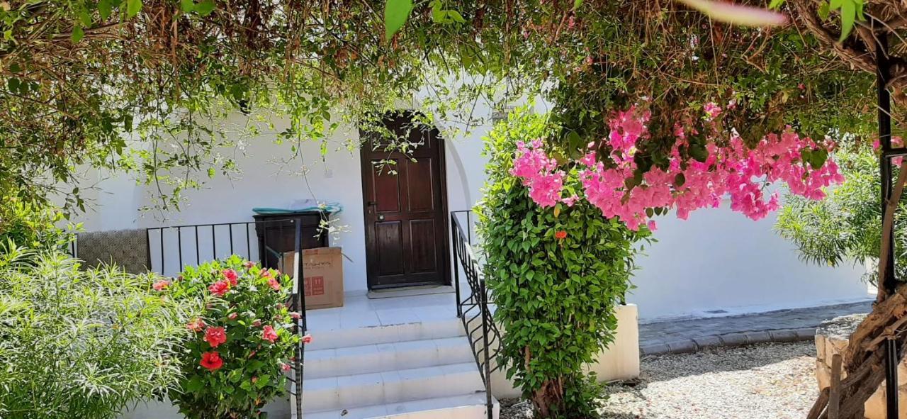 Villa Bougainvillea With Privite Pool Karşıyaka  Dış mekan fotoğraf